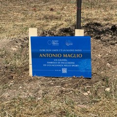 Il giardino dei Giusti