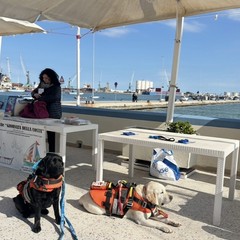 Barletta celebra la “Giornata del mare e della cultura marinara”