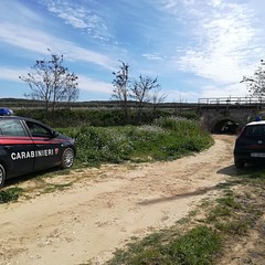 Fatalità sulla SP3, muore sul colpo un agricoltore di Barletta