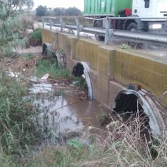 Maltempo, interventi sul Ciappetta Camaggio