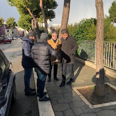 Albero caduto in piazza Castello