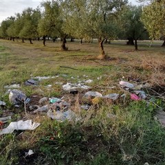 Rifiuti in via Vecchia Canosa, cronache di ordinario degrado