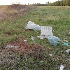 Rifiuti in via Vecchia Canosa, cronache di ordinario degrado