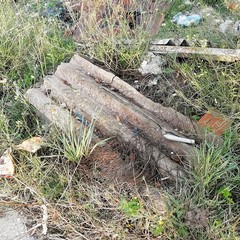 Rifiuti in via Vecchia Canosa, cronache di ordinario degrado