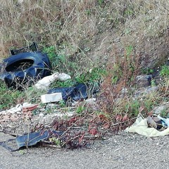 Rifiuti in via Vecchia Canosa, cronache di ordinario degrado