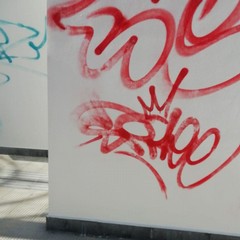 Atti vandalici in via Napoli e via Milano
