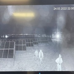 Tentato furto in un campo fotovoltaico di Barletta