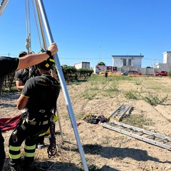 Salvato cane caduto in un pozzo scoperto in via del Gelso