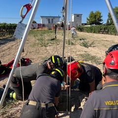 Salvato cane caduto in un pozzo scoperto in via del Gelso