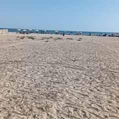 Inciviltà sulla spiaggia per la Notte di San Lorenzo: prima e dopo