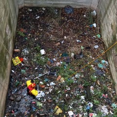 Gatto salvato dai Vigili del Fuoco nell'ex distilleria di Barletta