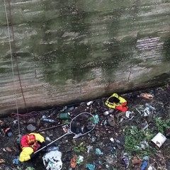 Gatto salvato dai Vigili del Fuoco nell'ex distilleria di Barletta