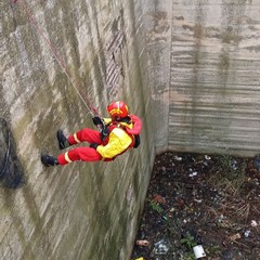 Gatto salvato dai Vigili del Fuoco nell'ex distilleria di Barletta