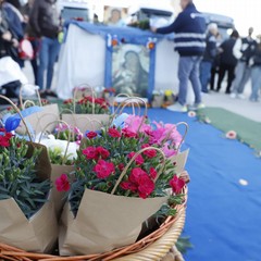 Inizia il Mese Mariano: Barletta abbraccia la Madonna dello Sterpeto