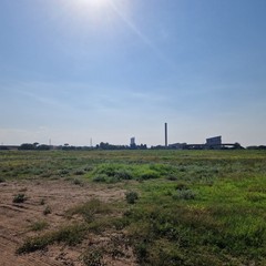 Area ex cartiera, situazione al 6 agosto 2026