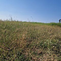 Area ex cartiera, situazione al 6 agosto 2026
