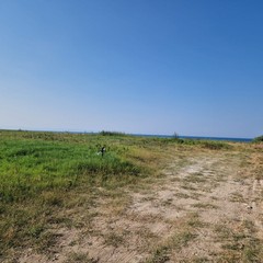 Area ex cartiera, situazione al 6 agosto 2026