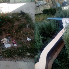 Degrado e abbandono in via Ungaretti