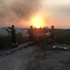 Divampano le fiamme in un canneto a Ponente, bruciano anche rifiuti