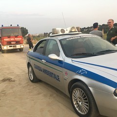 Divampano le fiamme in un canneto a Ponente, bruciano anche rifiuti