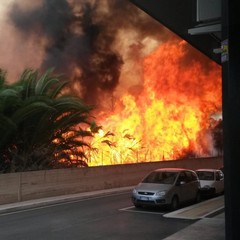 Fiamme si levano in via Vecchia Andria