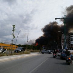 Incendio ai vivai in via vecchia Andria, è panico