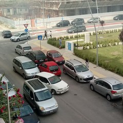 Incendio in via Vecchia Andria, a fuoco i vivai nella zona 167