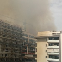 Incendio in via Vecchia Andria, a fuoco i vivai nella zona 167
