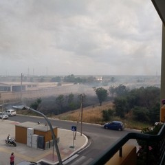 Incendio in via Vecchia Andria, a fuoco i vivai nella zona 167