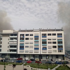 Incendio in via Vecchia Andria, a fuoco i vivai nella zona 167