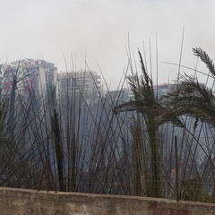 Incendio in via Vecchia Andria, panico tra i residenti