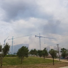 Incendio in via Vecchia Andria, panico tra i residenti