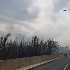 Incendio in via Vecchia Andria, panico tra i residenti