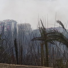 Incendio in via Vecchia Andria, panico tra i residenti