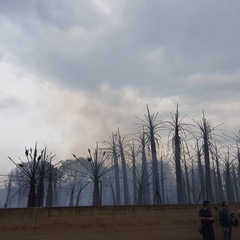 Incendio in via Vecchia Andria, panico tra i residenti