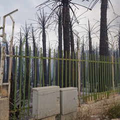 Incendio in via Vecchia Andria, panico tra i residenti