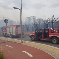 Incendio in via Vecchia Andria, panico tra i residenti