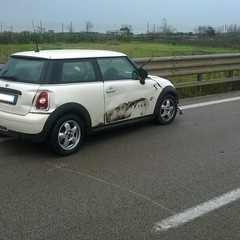 Incidente sulla SS16bis tra Barletta Sud e Boccadoro, ferita una donna