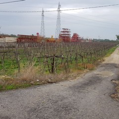 Impatto sulla SS93, incidente questa mattina a Barletta