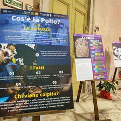 Insieme contro la Polio Rotary Barletta