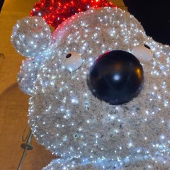 La Fondazione "Tatò Paride" celebra l'inclusione a Barletta con le "Letterine di Natale Solidali"