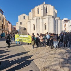 Manifestazione per l'ambiente a Barletta, cittadini e studenti scendono in piazza