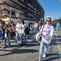 Manifestazione per l'ambiente a Barletta, cittadini e studenti scendono in piazza