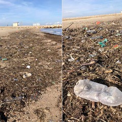 Plastica e rifiuti sulla spiaggia di Levante