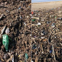 Plastica e rifiuti sulla spiaggia di Levante