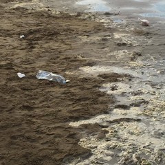 Lungomare di Barletta, spettacolo rivoltante in mare