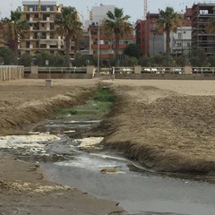 Lungomare di Barletta, spettacolo rivoltante in mare