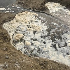 Lungomare di Barletta, spettacolo rivoltante in mare