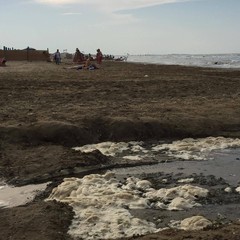 Lungomare di Barletta, spettacolo rivoltante in mare