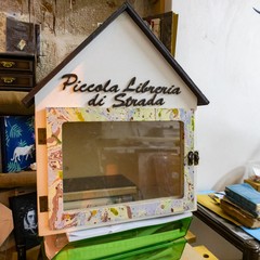 Maria Rosa Borraccino